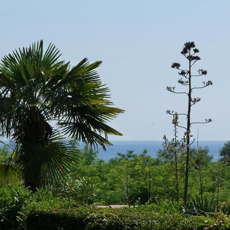Sea Explorer House Novigrad (Istria) Exterior foto