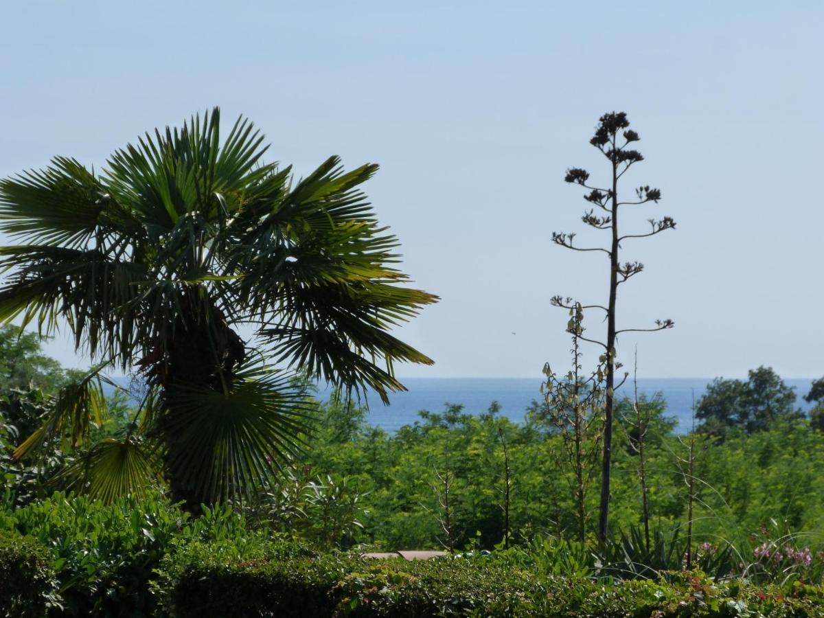 Sea Explorer House Novigrad (Istria) Exterior foto