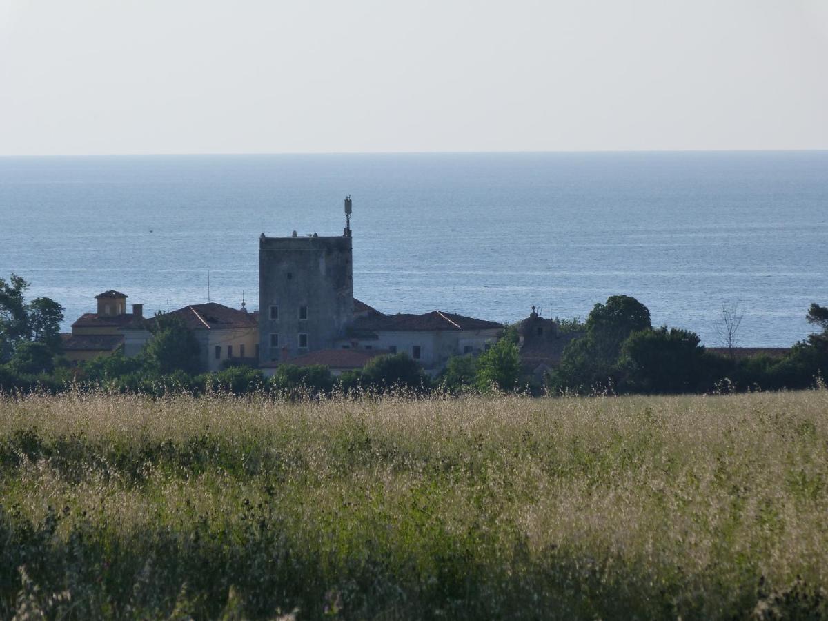 Sea Explorer House Novigrad (Istria) Exterior foto